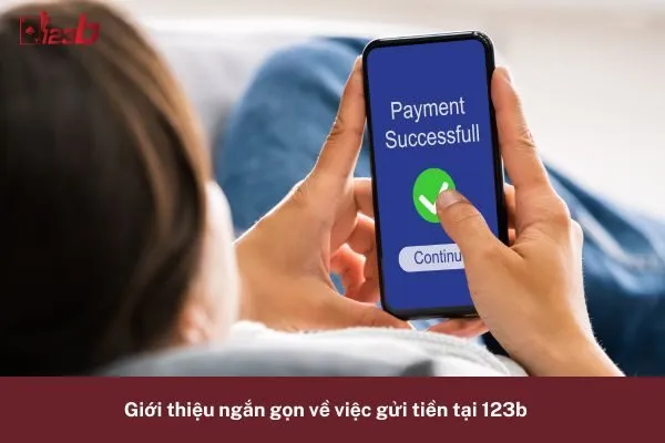 Các Phương Thức Gửi Tiền 123b